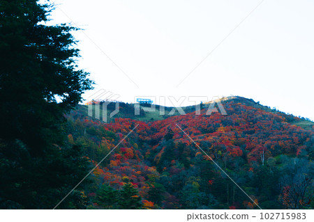[Japan's 100 Famous Mountains] Mt. Tsurugi View of the fall foliage on the slopes and the morning sun on the summit Miyoshi City, Tokushima Prefecture 102715983