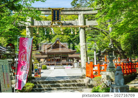 Izumo Grand Shrine in Kameoka City, Kyoto Prefecture, Nadeusagi and Torii 102716709