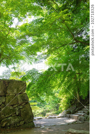 Azuchi castle ruins in early summer 102718326