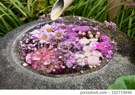花水漂浮著五顏六色的花朵 花水漂浮著五顏六色的花朵 102719696