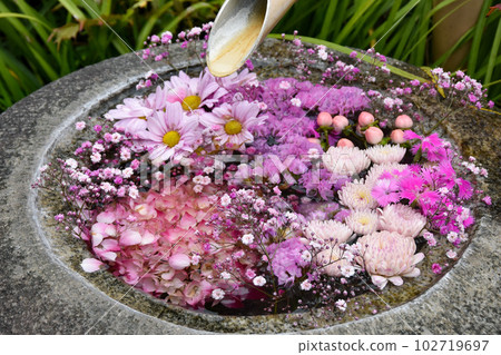花水漂浮著五顏六色的花朵 花水漂浮著五顏六色的花朵 102719697