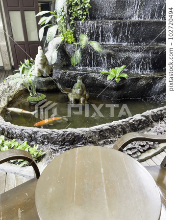 Tropical plant decorated in garden Tropical plant decorated in garden 102720494