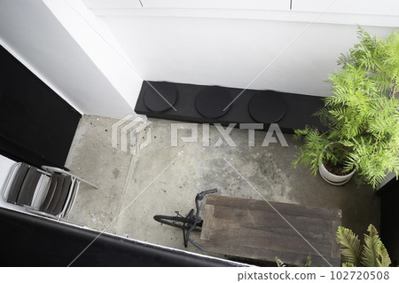 Tropical garden with botanic plants stone 102720508