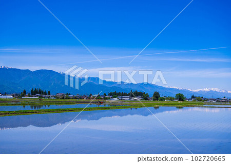 Rice fields filled with water and mountain scenery Rice fields filled with water and mountain scenery 102720665
