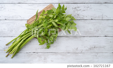 Japanese parsley leaf (Seri leaf) 102721167