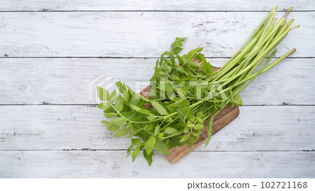 Japanese parsley leaf (Seri leaf) 102721168