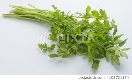 Japanese parsley leaf (Seri leaf) 102721174