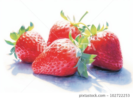 strawberry illustration strawberry illustration 102722253