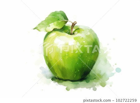 Green apple illustration Green apple illustration 102722259