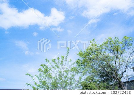 Spring sky, clouds and greenery Yokohama 102722438