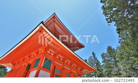 [包含視頻] 高野山金剛峰寺和金本大東（和歌山縣伊東郡高野町） 102722493