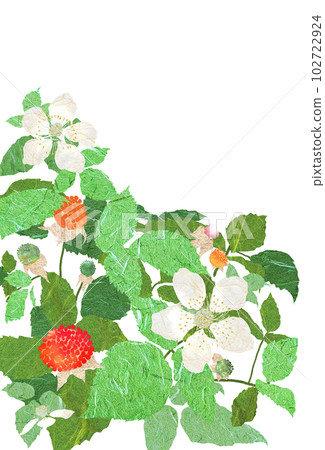 Wild strawberries with attractive red berries 102722924
