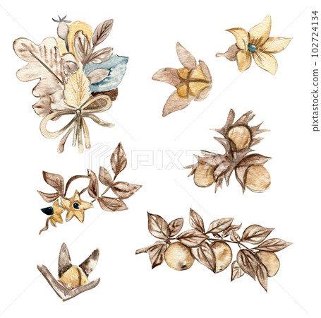 Watercolor hand drawn autumn leaves, apples and sea buckthorn. Hand drawn illustration of autumn. Perfect for scrapbooking, kids design, wedding invitation, posters, greetings cards, party decoration. 102724134