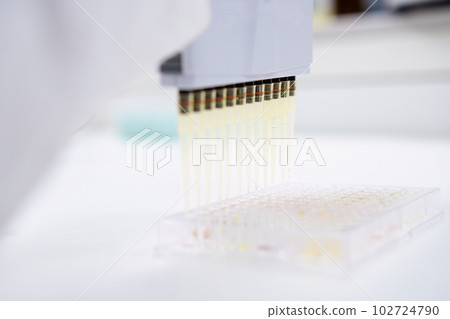 Scientist employs a multichannel pipette dispenser to load microplates for scientific tests Scientist employs a multichannel pipette dispenser to load microplates for scientific tests 102724790