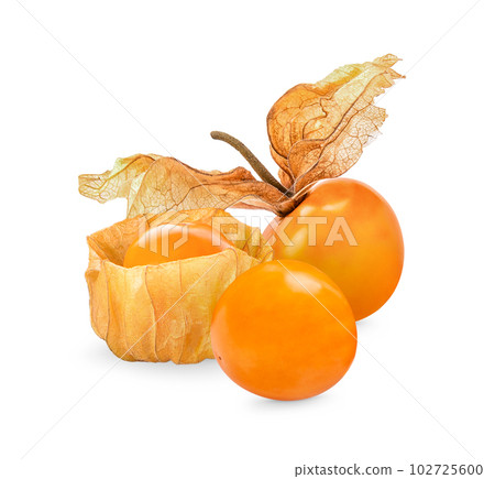 Cape gooseberry, physalis isolated on white background Cape gooseberry, physalis isolated on white background 102725600