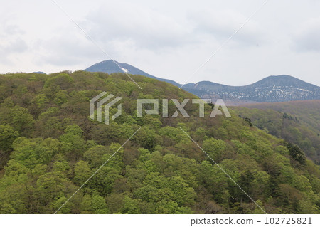 The fresh greenery of Jogakura and the heart-shaped snow of Hakkoda The fresh greenery of Jogakura and the heart-shaped snow of Hakkoda 102725821