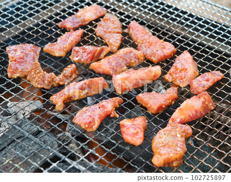 barbecue barbecue 102725897