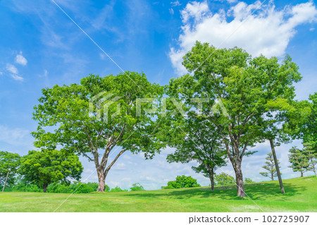 Aichi Prefectural Greenery Center with fresh green <Toyota City, Aichi Prefecture> 102725907