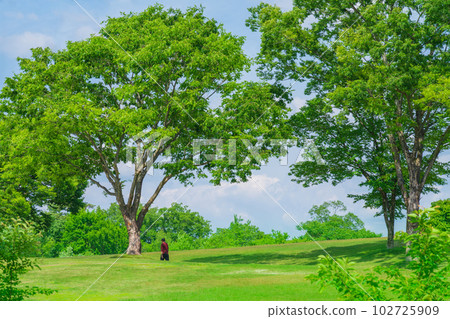 綠意盎然的愛知縣立綠化中心<愛知縣豐田市> 102725909