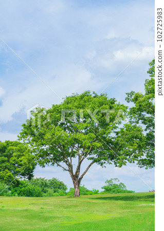 Aichi Prefectural Greenery Center with fresh green <Toyota City, Aichi Prefecture> 102725983