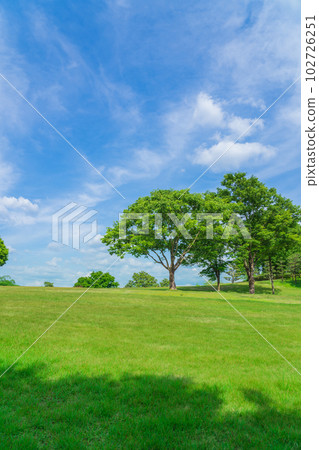Aichi Prefectural Greenery Center with fresh green <Toyota City, Aichi Prefecture> 102726251