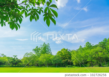 Aichi Prefectural Greenery Center with fresh green <Toyota City, Aichi Prefecture> 102726256