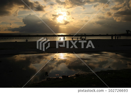 Summer at dusk 102726693
