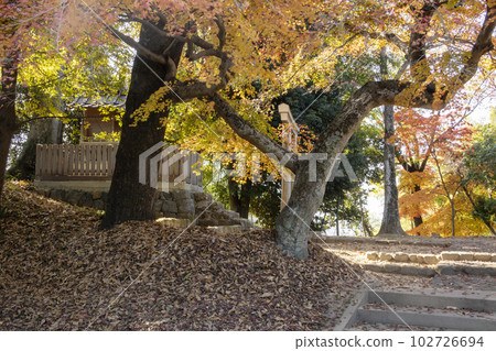 奈良縣深秋 Jogan Inari 神社的秋葉 102726694