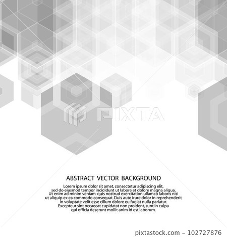 gray hexagon pattern. polygonal style. vector illustration. eps 10 gray hexagon pattern. polygonal style. vector illustration. eps 10 102727876