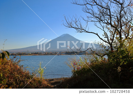 Looking at Mt.Fuji from Lake Kawaguchi at autumn camp 102728458