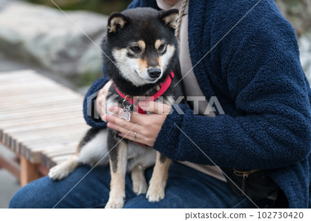 Man hug and hold adorable black akita inu dog on outdoor bench 102730420