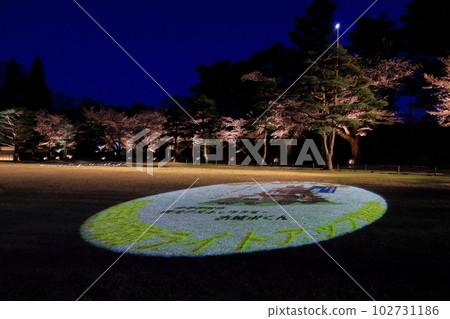 Tsurugajo Park Illumination Aizuwakamatsu City, Fukushima Prefecture 102731186