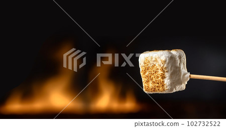Banner Of Two Marshmallows On A Stick Roasting Over Campfire On Black Background - Camping Summer Fun Concept copy space 102732522