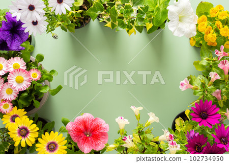 Flowers on a green background Flowers on a green background 102734950