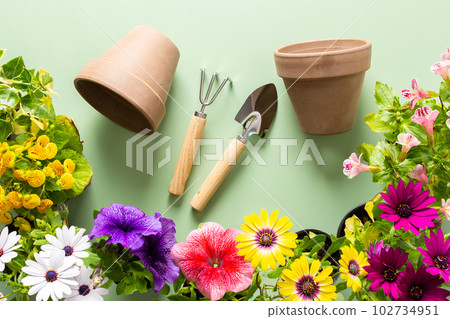 Flowers on a green background Flowers on a green background 102734951