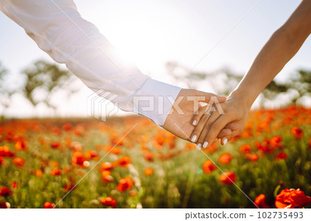 Holding hands of happy young couple having fun in poppy field. Love. Together 102735493
