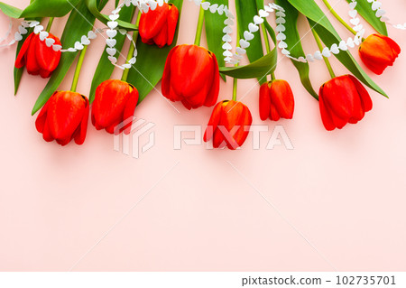 Fresh red tulips on pink background 102735701