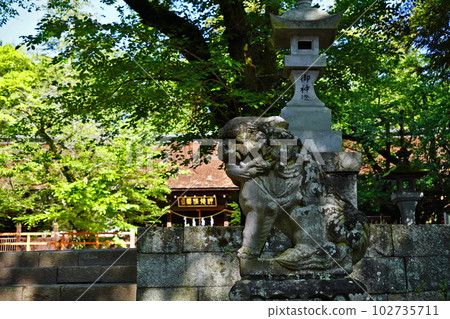 Kubo Hachiman Shrine Komainu, Yamanashi City, Yamanashi Prefecture 102735711