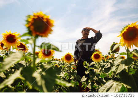 Farmer in the sunflower field. Harvesting, organic farming concept. 102735725