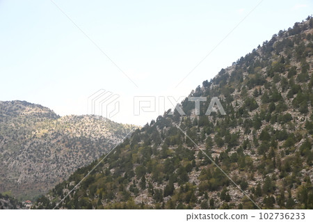 Background and texture of mountain layers, rocks, cracks, sedimentary rocks and forest , Turkey. Background and texture of mountain layers, rocks, cracks, sedimentary rocks and forest , Turkey. 102736233
