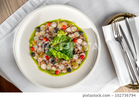 Seafood appetizer. Octopus Carpaccio on white plate. Mediterranean delicacy. Selective focus 102736794
