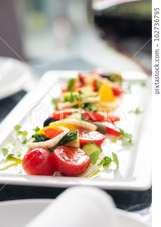 Salad with tomato, italian ricotta cheese and basil 102736795