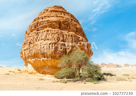 Behind the Tomb of Lihyan, son of Kuza carved in rock in the desert, Mada'in Salih, Hegra, Saudi Arabia Behind the Tomb of Lihyan, son of Kuza carved in rock in the desert, Mada'in Salih, Hegra, Saudi Arabia 102737230