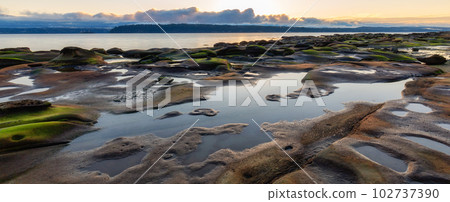 Rocky Shore on the Ocean Coast. Canadian Nature Background. 102737390