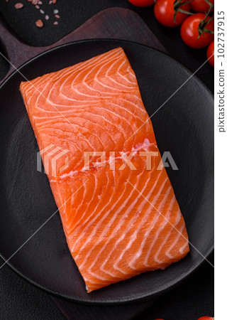 Fresh raw salmon red fish fillet with salt and spices 102737915