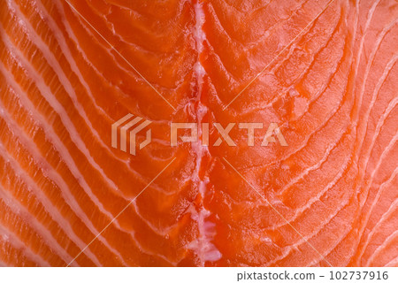 Fresh raw salmon red fish fillet with salt and spices 102737916