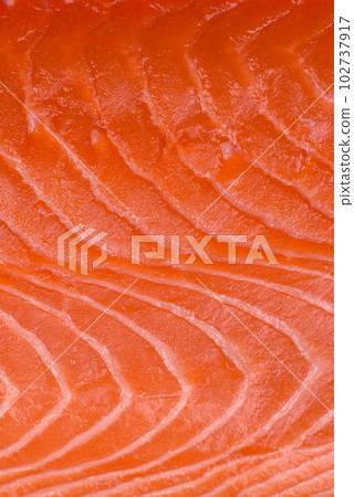 Fresh raw salmon red fish fillet with salt and spices Fresh raw salmon red fish fillet with salt and spices 102737917