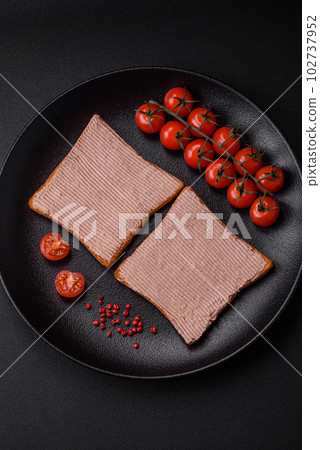 Delicious crispy toast with chicken or goose pate with salt and spices 102737952