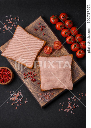 Delicious crispy toast with chicken or goose pate with salt and spices 102737971