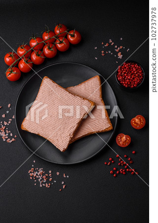 Delicious crispy toast with chicken or goose pate with salt and spices 102737978